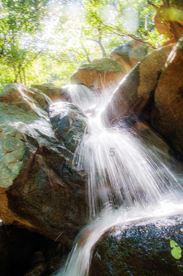逃离沙地